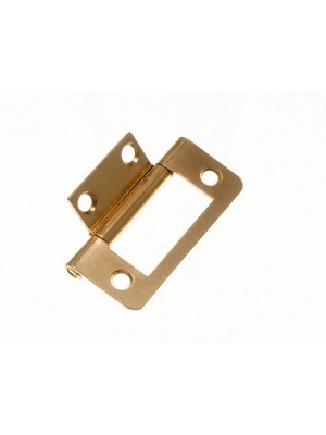 Pair Of Cabinet Door Flush Hinges EB Brass Plated Steel 50mm ( 2 Inch )